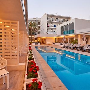 Suite Junior solo para adultos